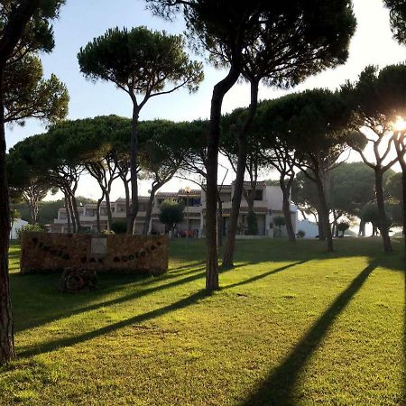 Algarve Friendly Apartment Αλμπουφέιρα Εξωτερικό φωτογραφία